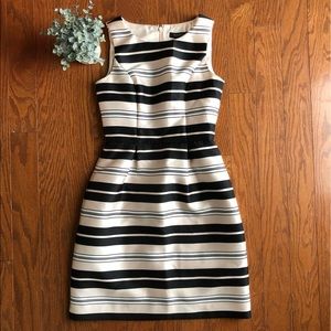 White House Black Market Women’s Dress